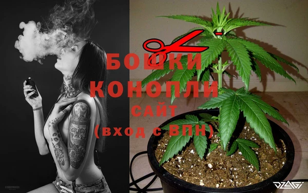 2c-b Карпинск