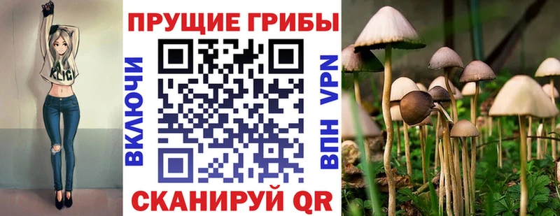 Галлюциногенные грибы ЛСД  Купить закладки  Анива 